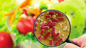 СРАЗУ 12 УЧАЩИХСЯ КОЛЛЕДЖА В ДАЛЬНЕГОРСКЕ ПОЛУЧИЛИ ПИЩЕВОЕ ОТРАВЛЕНИЕ