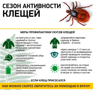 Паукообразные могут быть заразными!