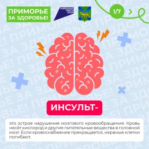С 27 октября по 02 ноября в Приморском крае проходит Неделя борьбы с инсультом (в честь Всемирного дня борьбы с инсультом 29 октября).