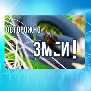 ОСТОРОЖНО: ЗМЕИ!