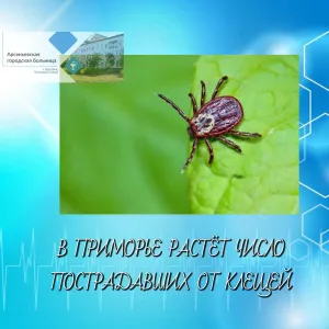 В ПРИМОРЬЕ РАСТЁТ ЧИСЛО ПОСТРАДАВШИХ ОТ КЛЕЩЕЙ