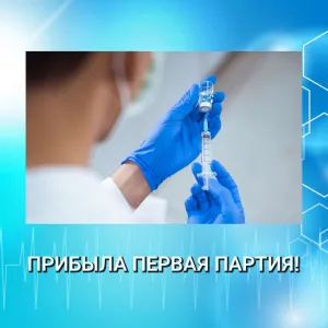 ПРИБЫЛА ПЕРВАЯ ПАРТИЯ!