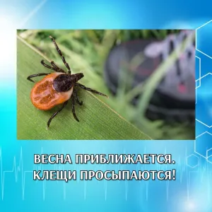 ВЕСНА ПРИБЛИЖАЕТСЯ. КЛЕЩИ ПРОСЫПАЮТСЯ!