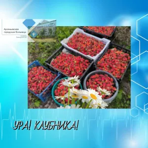 УРА! КЛУБНИКА!